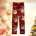 Custom Photo Colorful Lovely Lettering For Cat Lovers Pajamas N304 889946