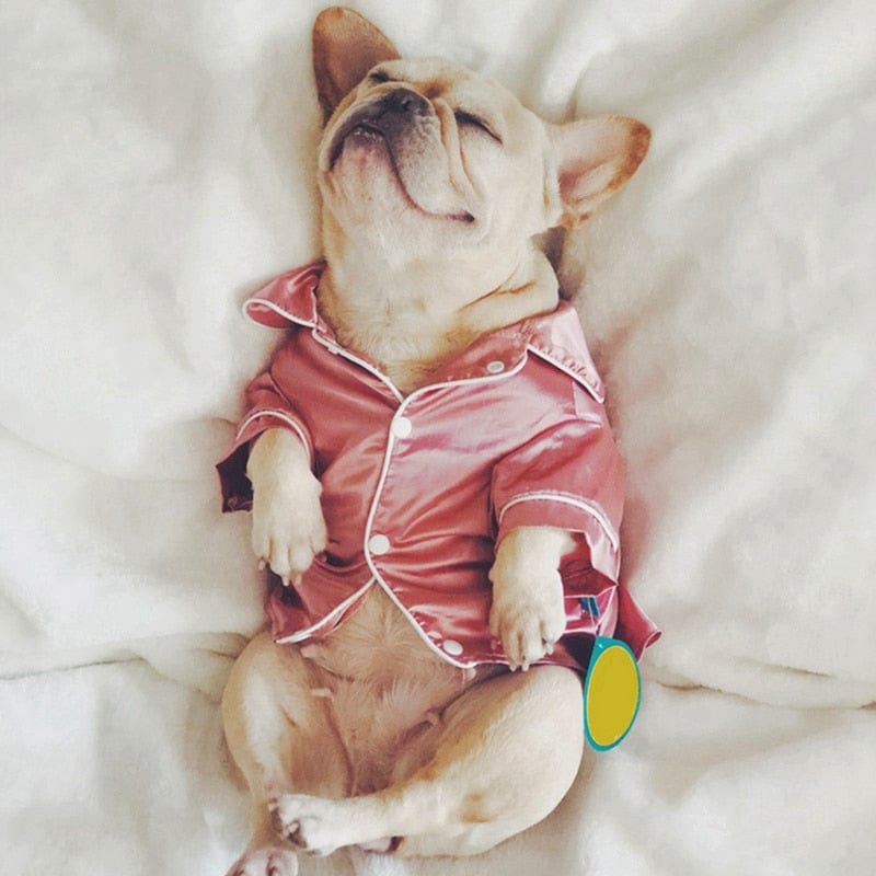Luxury Soft Silk  Pet Dog Pajamas